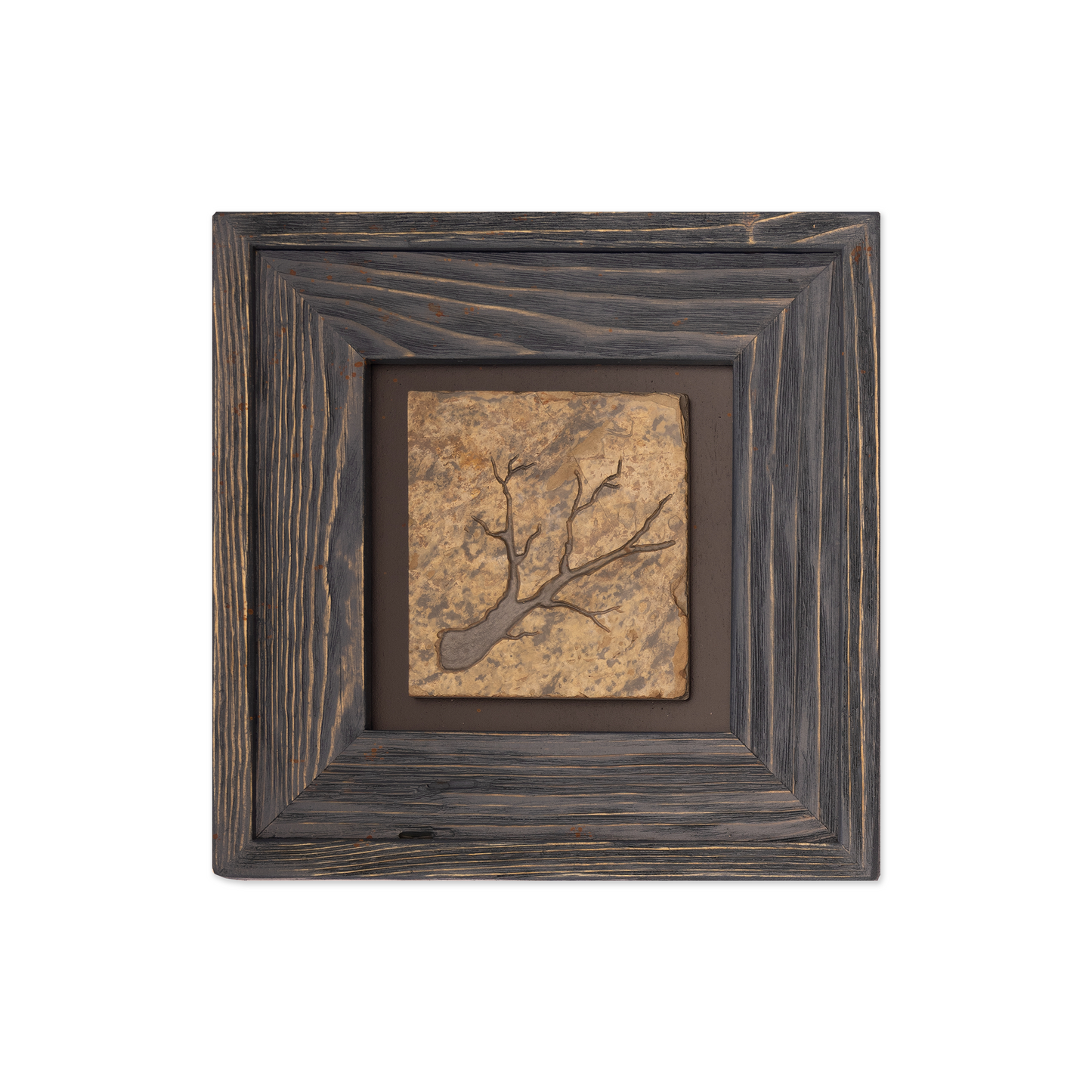 Reclaimed Frame with Stone Branch Imprint