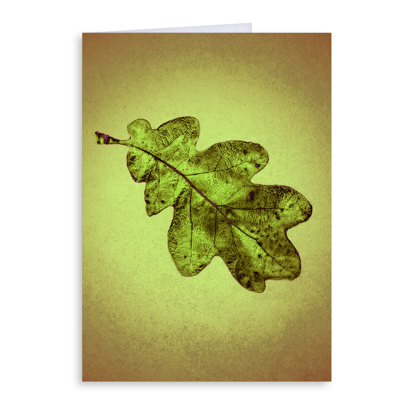 Oregon White Oak Leaf Greeting Card