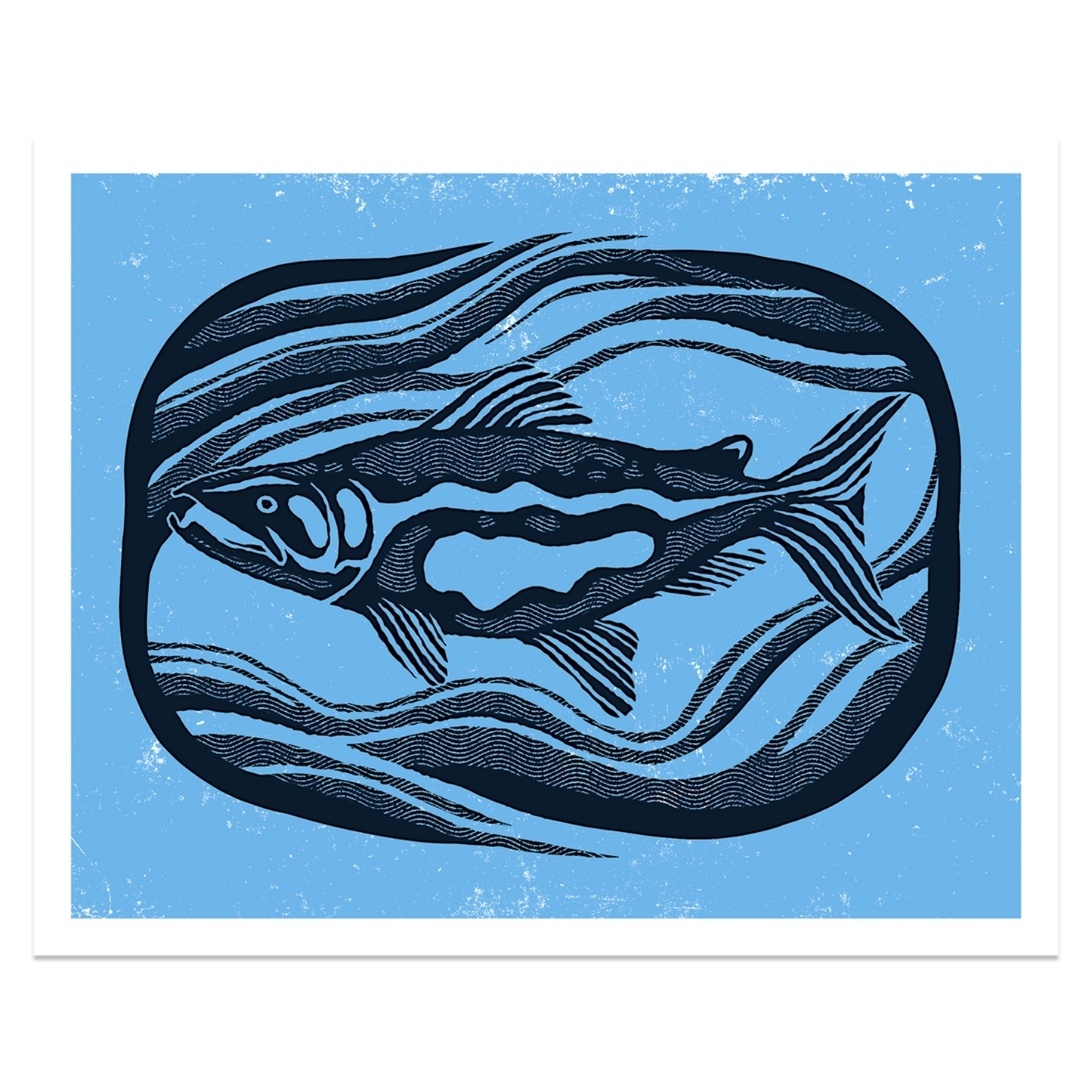 Sockeye Salmon Print
