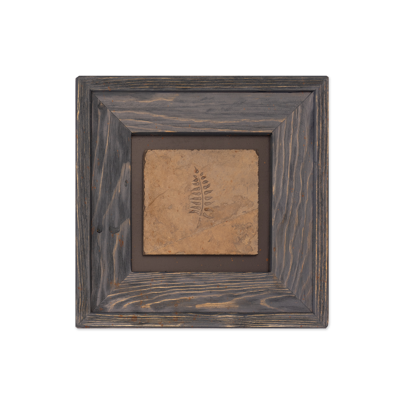 Reclaimed Frame with Stone Fern Imprint