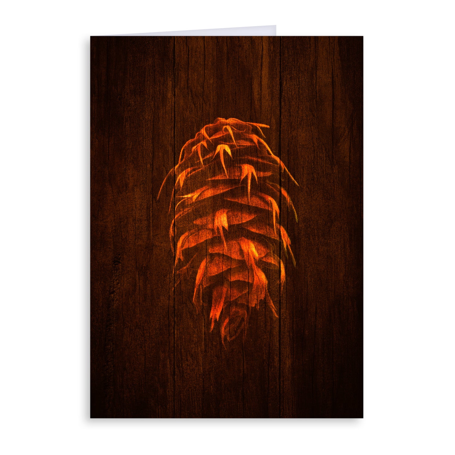 Douglas Fir Pine Cone Greeting Card