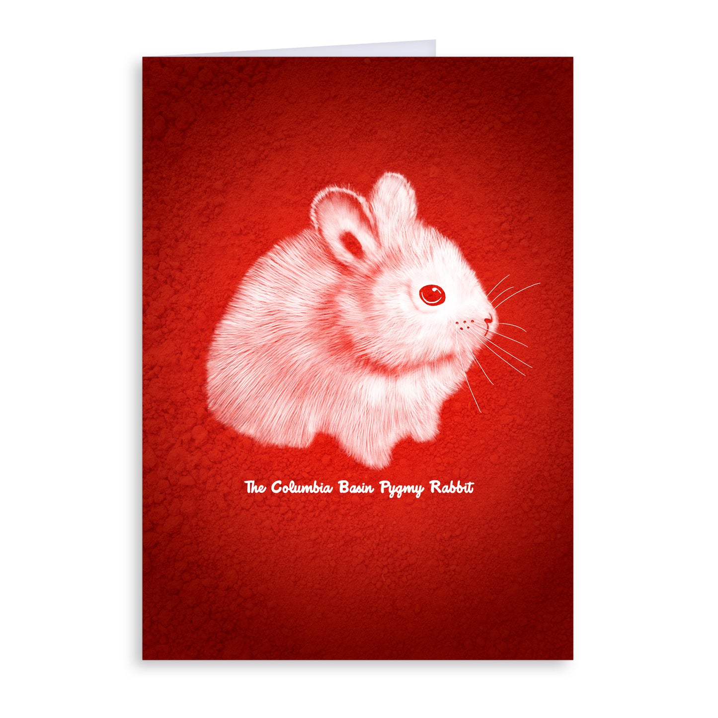 Pygmy Rabbit Greeting Card